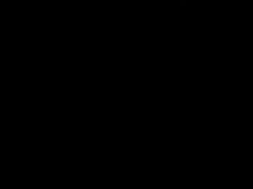 sierralee496
