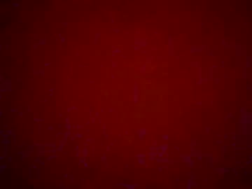 uhcarlise228